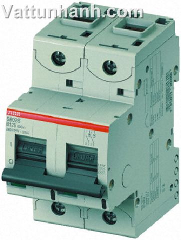 MCB,50kA,Type D characteristic,double pole,125A,35mm capacity,S800
