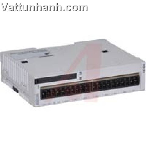 Module,Analog Expansion,Microsmart 2 Output